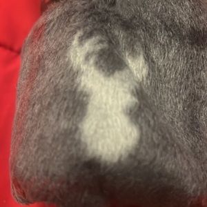 Cuddl duds mens pajama bottoms